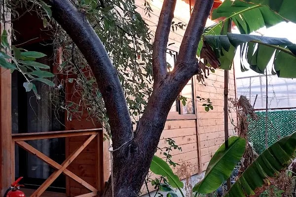 Denizim Apart Bungalov - Resim 16