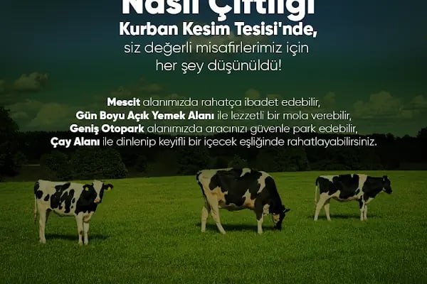 Naslı Kurban Çiftliği - Resim 6