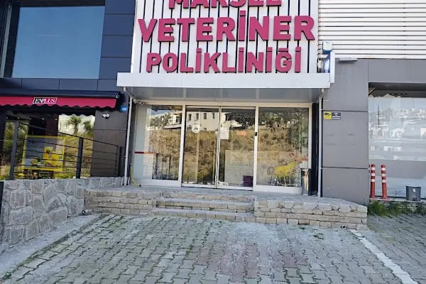 Marsel Veteriner Polikliniği Bodrum - Resim 1