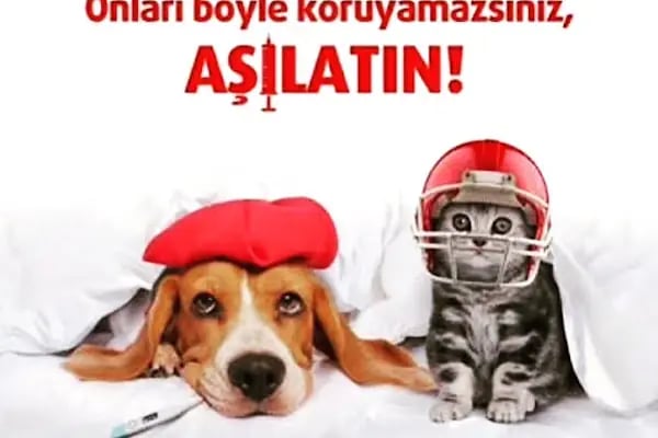 Marsel Veteriner Polikliniği Bodrum - Resim 13