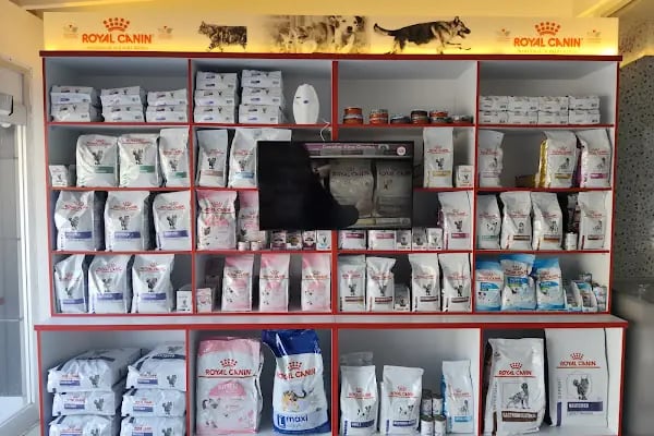 Marsel Veteriner Polikliniği Bodrum - Resim 2