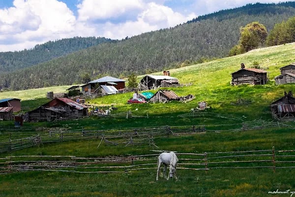 Eğriova Tabiat Parkı - Resim 10