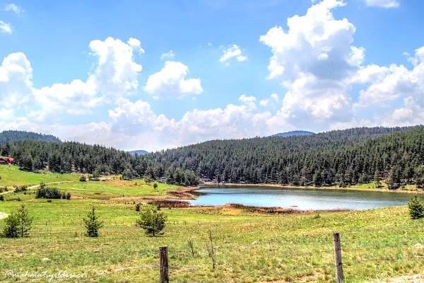 Eğriova Tabiat Parkı - Resim 4