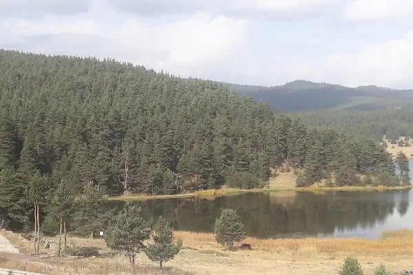 Eğriova Tabiat Parkı - Resim 1