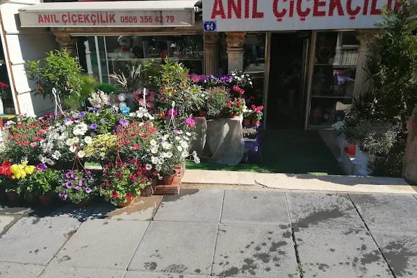Anıl Çiçekçilik - Resim 12