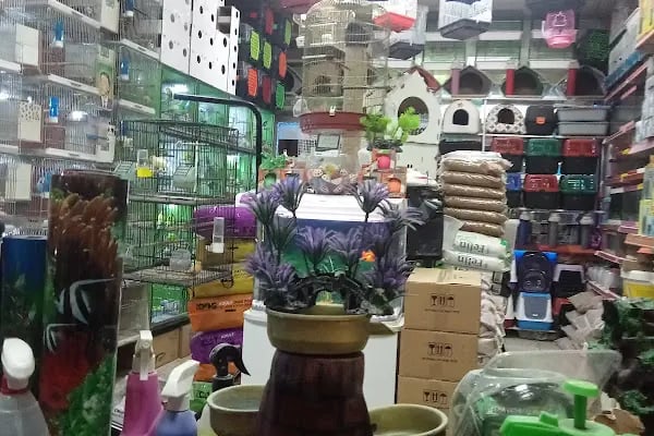 Sarem petshop 2 - Resim 5