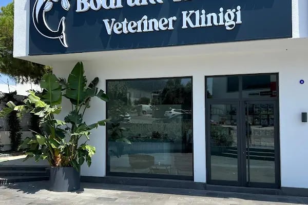 Bodrum Holistik Veteriner Kliniği - Resim 1