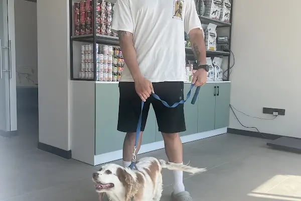 Bodrum Holistik Veteriner Kliniği - Resim 11
