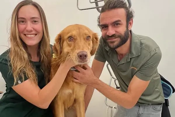 Bodrum Holistik Veteriner Kliniği - Resim 18
