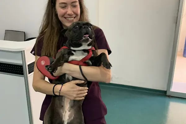 Bodrum Holistik Veteriner Kliniği - Resim 14