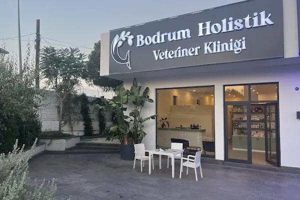 Bodrum Holistik Veteriner Kliniği - Resim 2