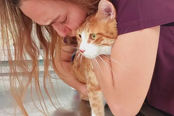 Bodrum Holistik Veteriner Kliniği - Resim 19