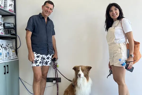 Bodrum Holistik Veteriner Kliniği - Resim 4
