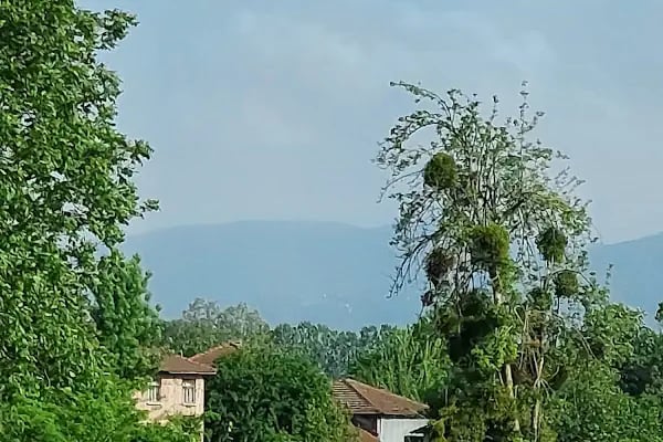 Bekirpaşa Mezarlığı - Resim 2