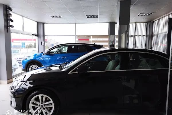 EMİR OTO CENTER - Resim 17