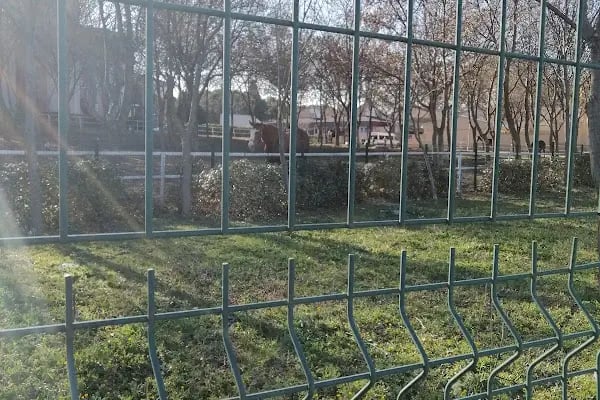 İstanbul Ünv. Hayvan Hastanesi - Resim 10