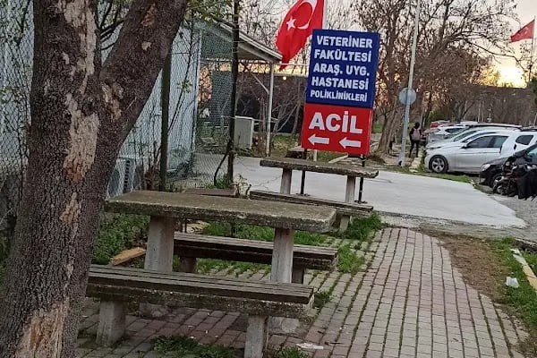 İstanbul Ünv. Hayvan Hastanesi - Resim 5
