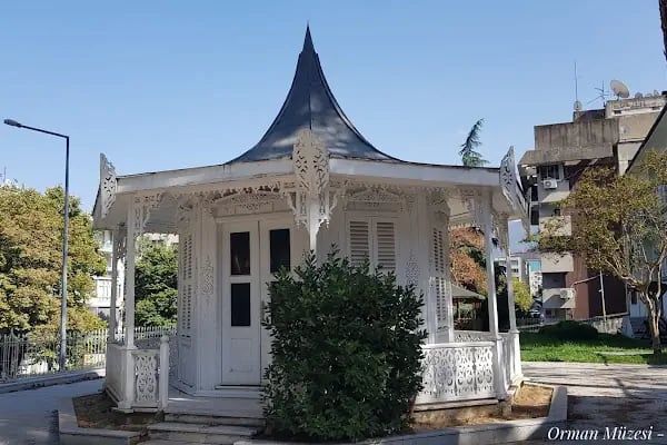 Ormancılık Müzesi - Resim 17