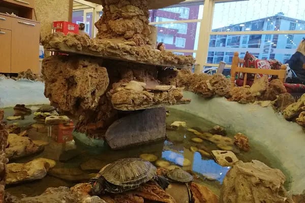 Kervansaray Et Mangal Pide Ve Lahmacun Salonu - Resim 4