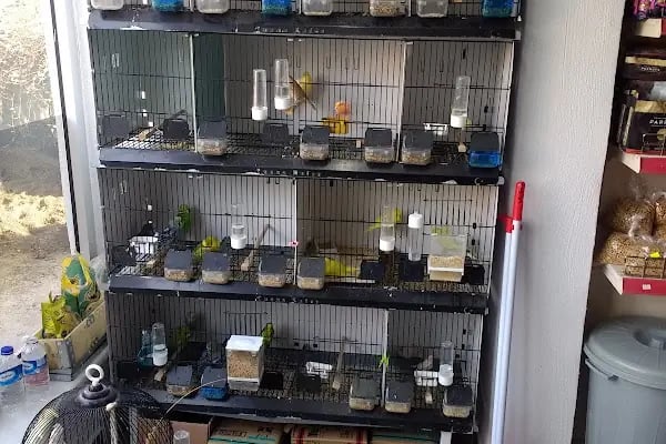 Yıldız Petshop Şirinköy mah Ali Fuat paşa CAD No/83/B Gölcük/Kocaeli - Resim 17