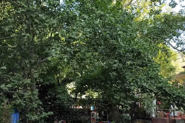 Bayındır Kaplıcaları - Resim 11