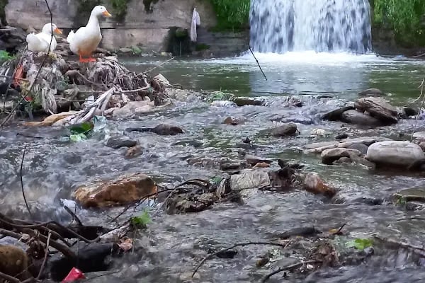 Bayındır Kaplıcaları - Resim 2