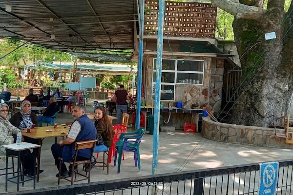 Bayındır Kaplıcaları - Resim 14