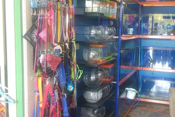 Sakvaryum petshop - Resim 15