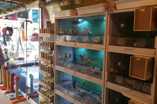 Sakvaryum petshop - Resim 18