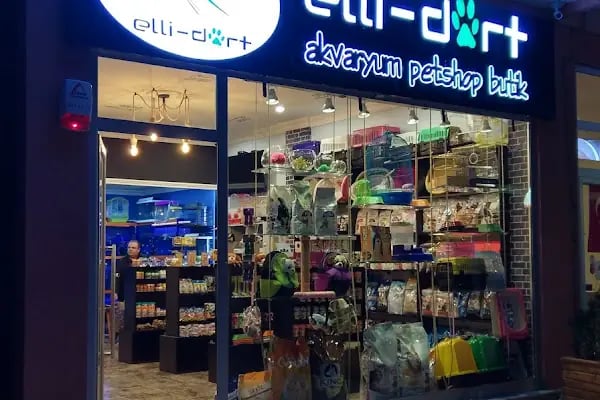 Sakvaryum petshop - Resim 4