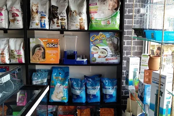 Sakvaryum petshop - Resim 12