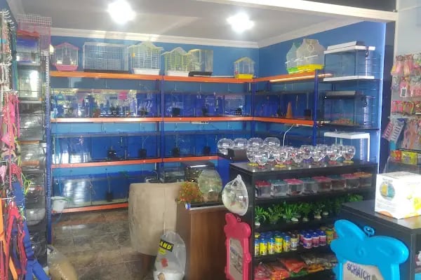 Sakvaryum petshop - Resim 11