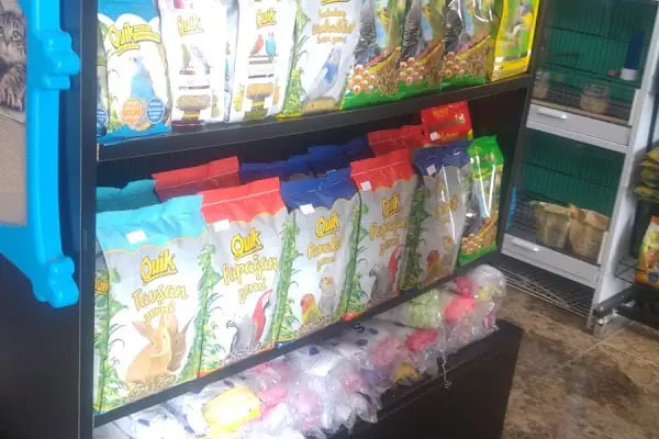 Sakvaryum petshop - Resim 9