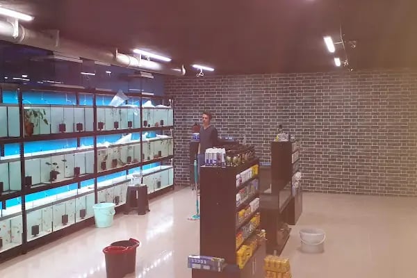 Sakvaryum petshop - Resim 7
