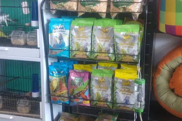 Sakvaryum petshop - Resim 16