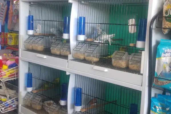 Sakvaryum petshop - Resim 8