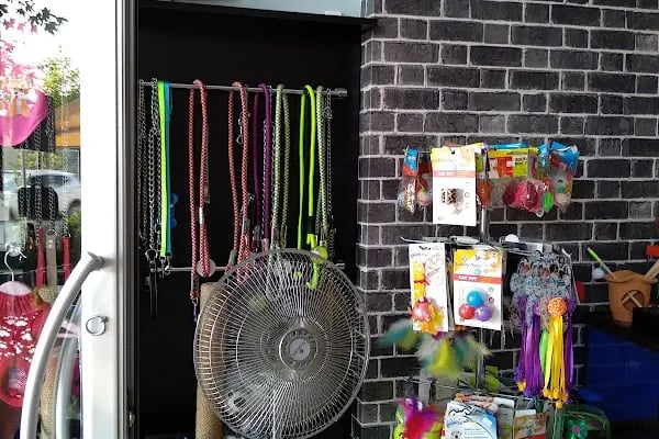 Sakvaryum petshop - Resim 10