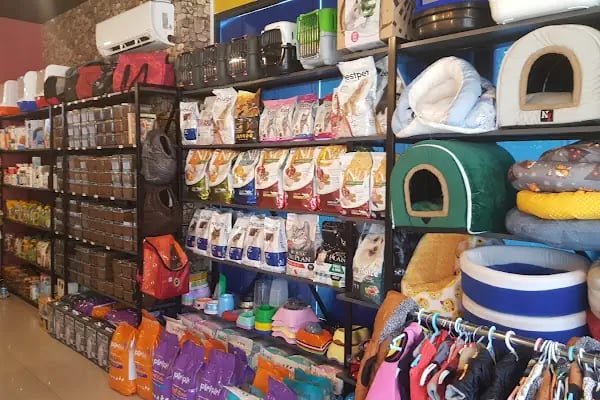 Sakvaryum petshop - Resim 5