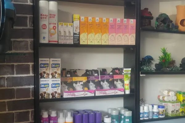 Sakvaryum petshop - Resim 14