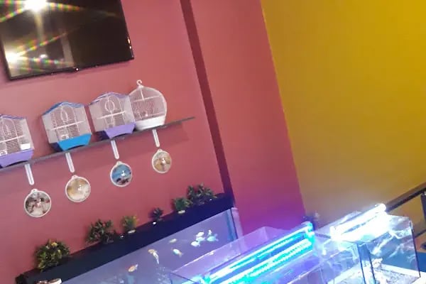Sakvaryum petshop - Resim 17