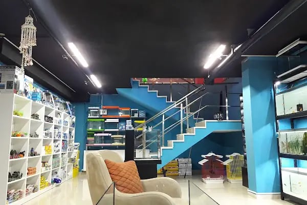 Sakvaryum petshop - Resim 2