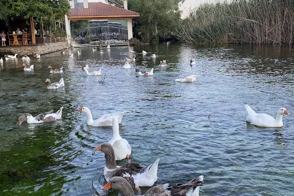 Atalay'ın Yeri Restorant - Resim 4