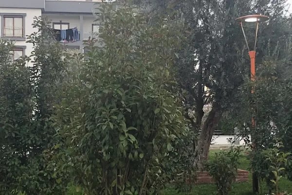 Gazi Umur Bey Parkı - Resim 13