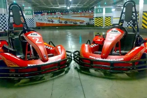 Speed Go-Kart Kale AVM. - Resim 3