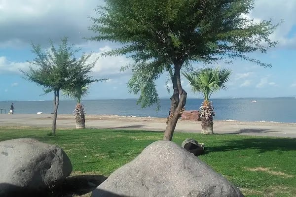 Veli Usta Balık Rest. İnciraltı - Resim 20