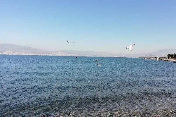 Veli Usta Balık Rest. İnciraltı - Resim 6