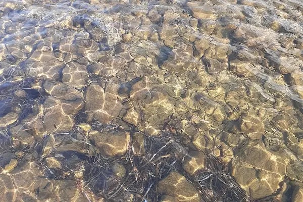Üzüm Kızı Beach &amp; Hotel - Resim 16