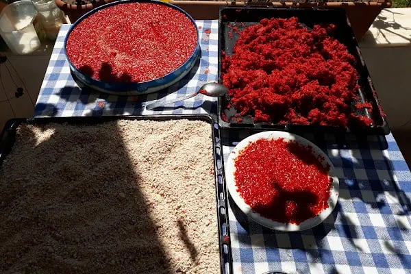 Üzüm Kızı Beach &amp; Hotel - Resim 12