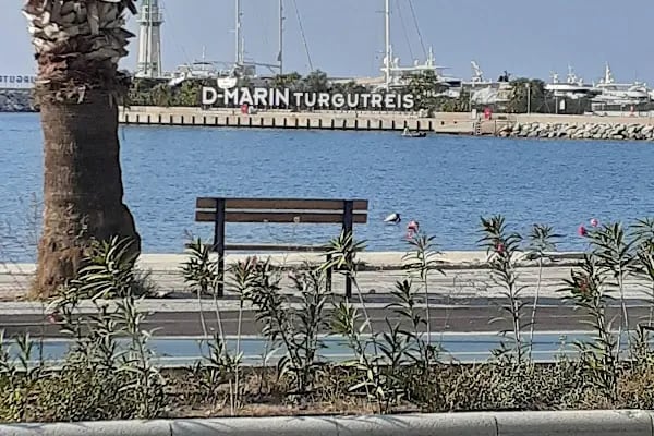 Üzüm Kızı Beach &amp; Hotel - Resim 7