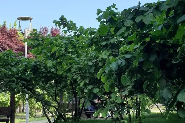 Giresun Konağı - Resim 20